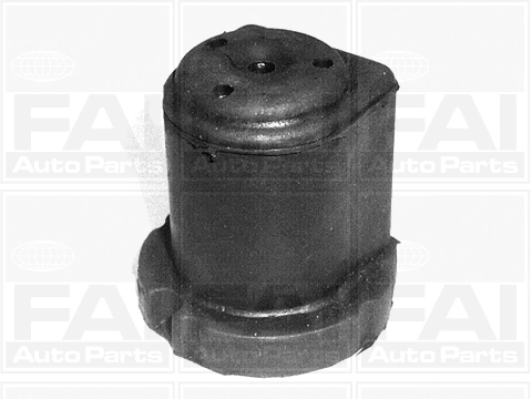 Mounting, control/trailing arm